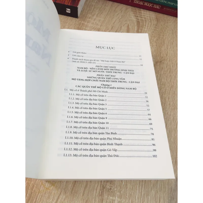 Mộ Cổ Nam Bộ – Phạm Đức Mạnh 925777