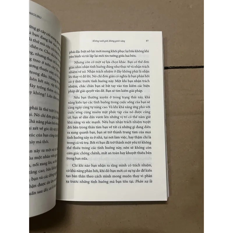 Kiến tạo bản thân chỉ dẫn sống an vui của một yogi 1019838