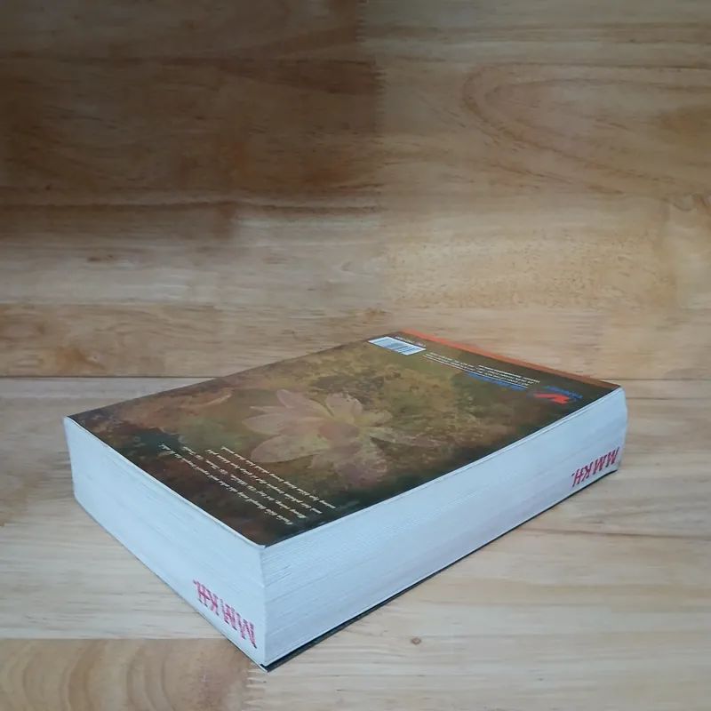 Ẩn Tăng (Biểu Tượng Thất Truyền Của Châu Á) - Mã Minh Khiêm 723276