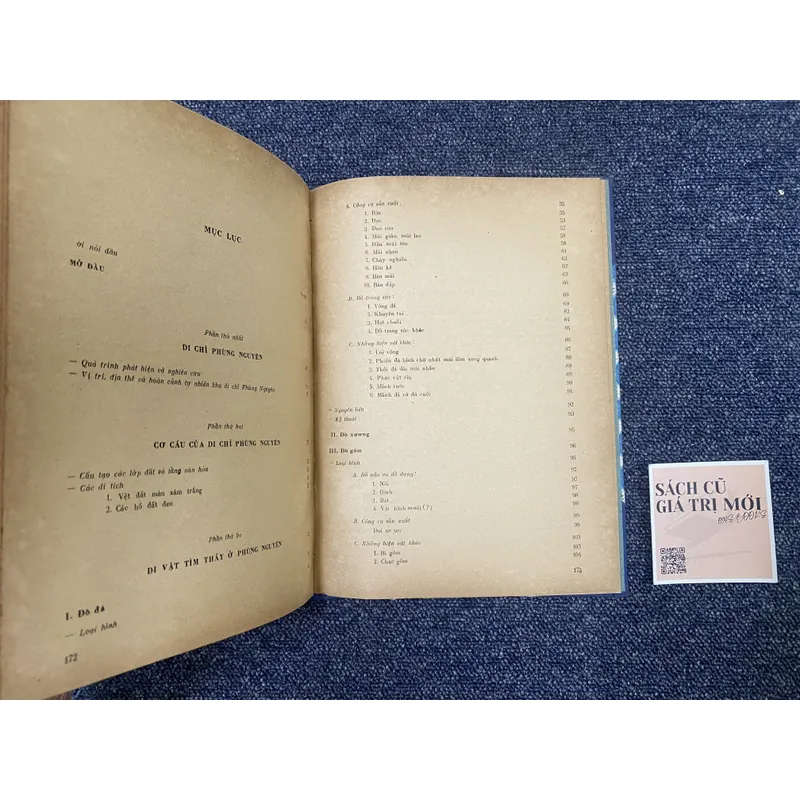 Di chỉ khảo cổ học Phùng Nguyên  715028