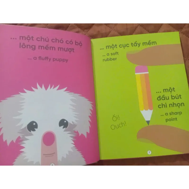 Cuốn Sách Khổng Lồ Về Năm Giác Quan 1009873