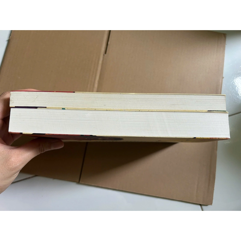 Sáu Người Đi Khắp Thế Gian (Trọn bộ 2 Tập) 474231