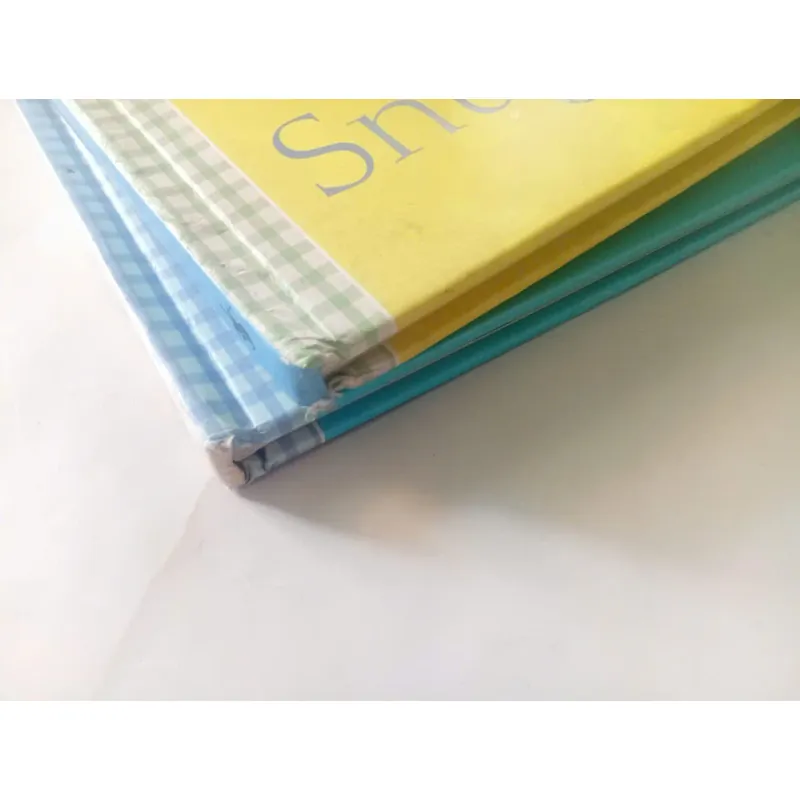 Snuggle Bunny  & Playtime Teddy 1006034