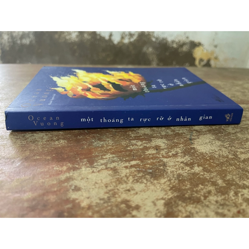 Một thoáng ta rực rỡ ở nhân gian- Ocean Vuong 539224