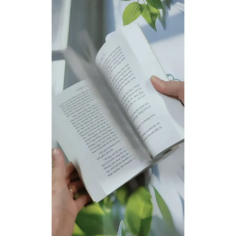 Giường Đơn Hay Giường Đôi - Cầm Sắt Tỳ Bà 744730