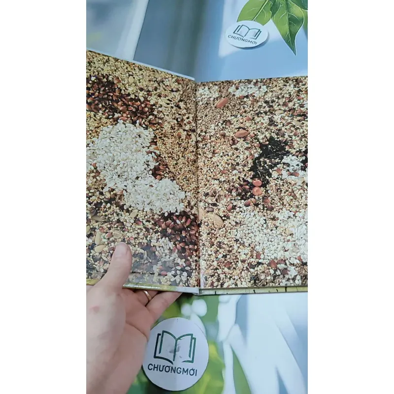 [Tặng nẹp góc] Truyện thiếu nhi Hàn Quốc: Moyamo Anu 56 -  모야모 아누와: 카멜레온에게 혼쭐난 아난시 732060