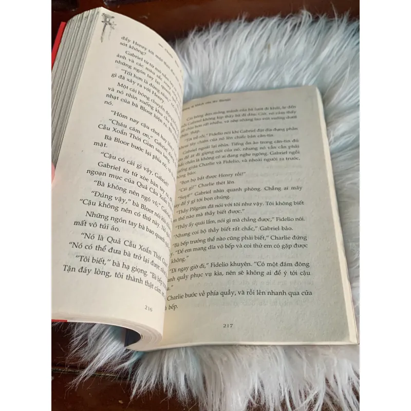Charlie Bone và quả cầu xoắn thời gian 1042147