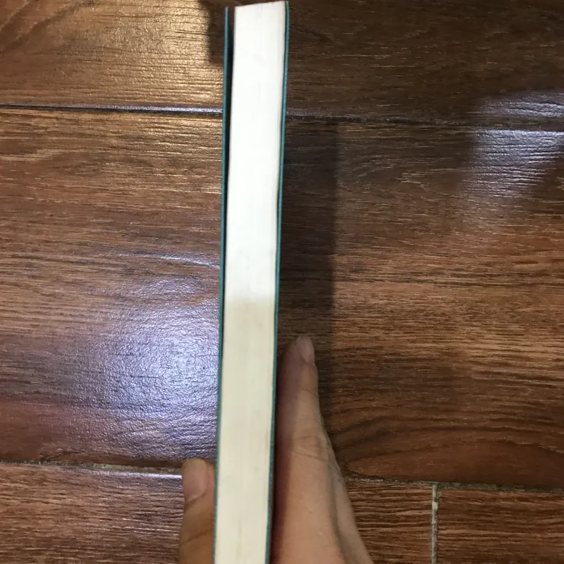 Ở Giữa Thanh Xuân Trống Rỗng - Bret Easton Ellis (8) 943117