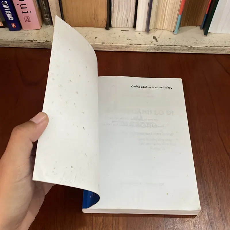 Sách Kỹ Năng: Quẳng Gánh Vui Đi Và Vui Sống - DALE CARNEGIE - Nguyễn Hiến Lê (Dịch) - 2006 578094