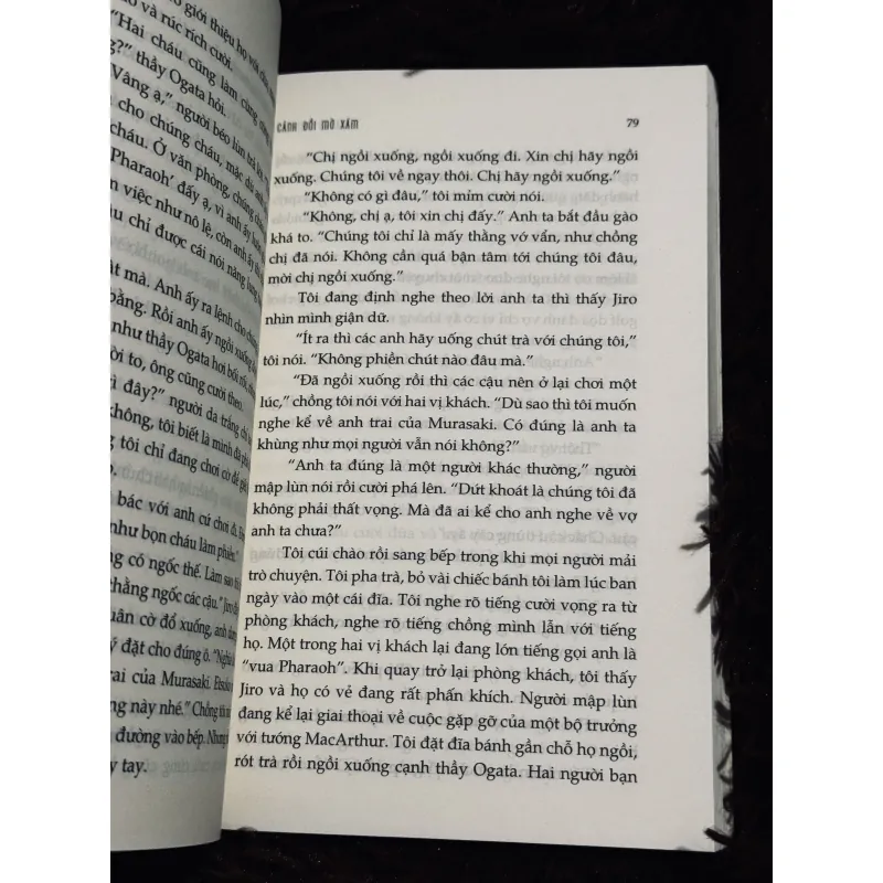 Cảnh đồi mờ xám 937340