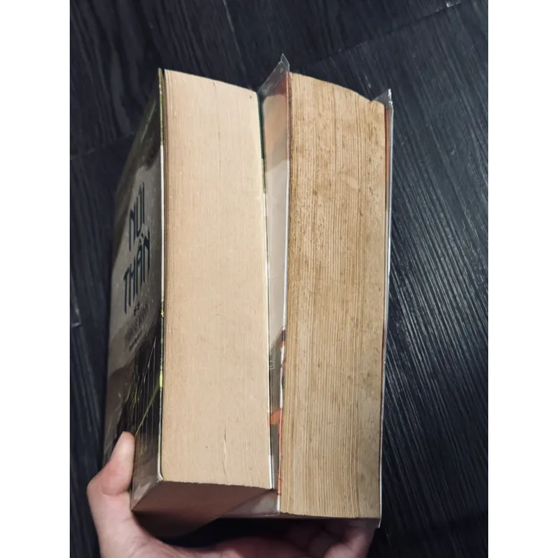 Trọn bộ núi thần - Thomas Mann (bản in cũ) 598702