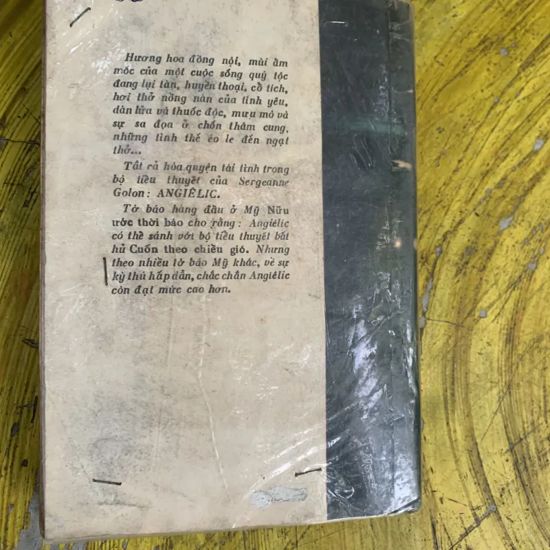 TÌNH SỬ ANGELIC TRỌN BỘ HAI TẬP  746635