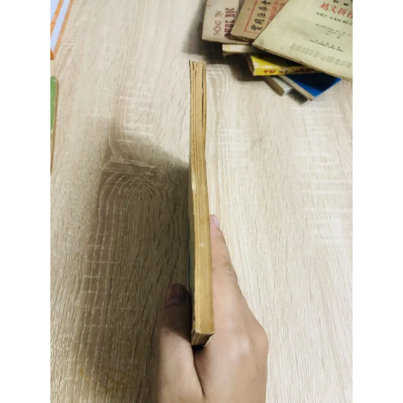 ĐÔNG PHƯƠNG LUẬN LÝ HỌC ( Nhất Hạnh) 925805