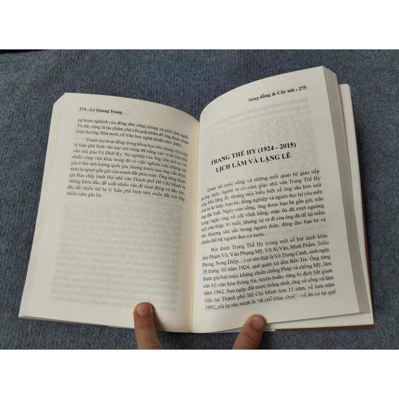 SÓNG ĐỒNG & CÂY NÚI - LÊ QUANG TRUNG 729312