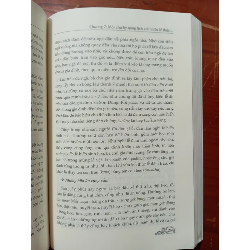 DẤU XƯA LƯNG CHỪNG NÚI MỘT VUNG BẢN SẮC CA DONG 800447