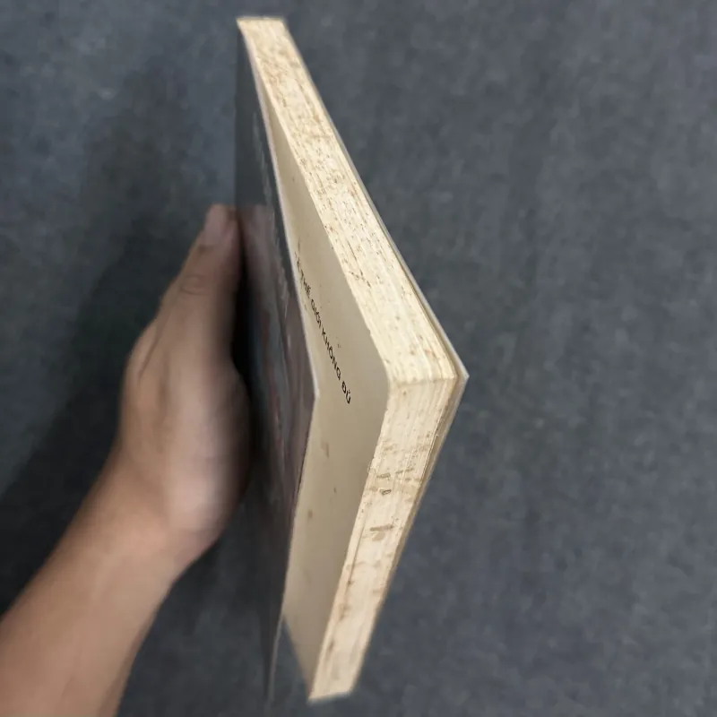 Cả thế giới không đủ - Raymond Benson (Series điệp viên James Bond) 1035482