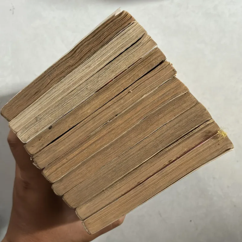 Vua bánh mỳ (combo 10 cuốn) 971393