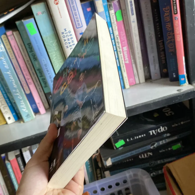 Chiến binh cầu vòng  755094