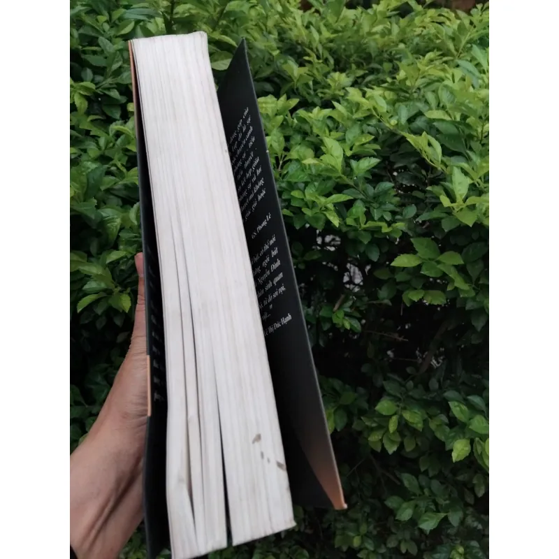 Tuyển tập Nguyễn Đình Lạp  992864