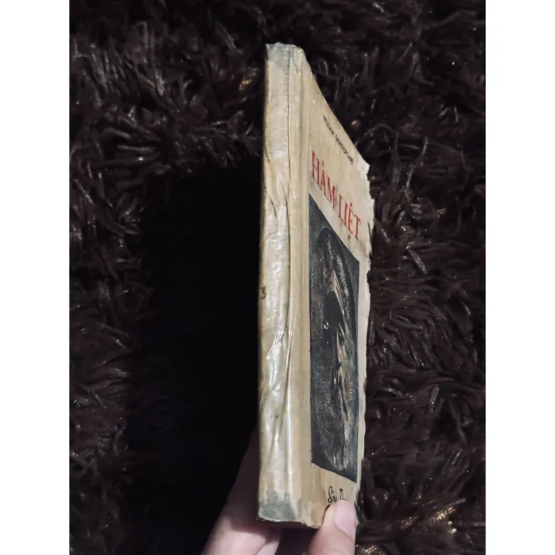 Hâm Liệt - Shakespeare (đọc mô tả) 746221