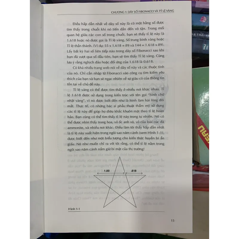 FIBONACCI TRADING - CAROLYN BORODEN 589468