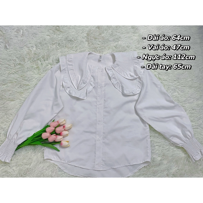 Áo sơ mi trắng cổ bèo freesize mới 98% 532315