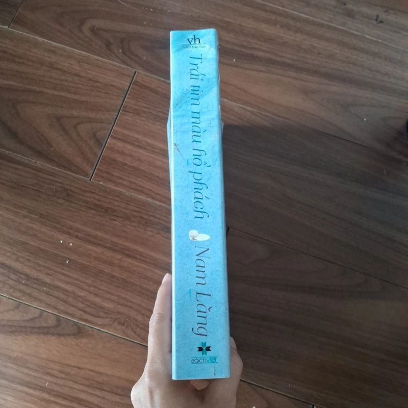 Trái tim màu hổ phách 509939