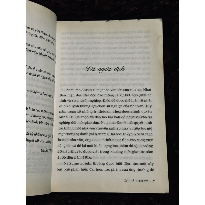 Gối đầu lên cỏ 763380