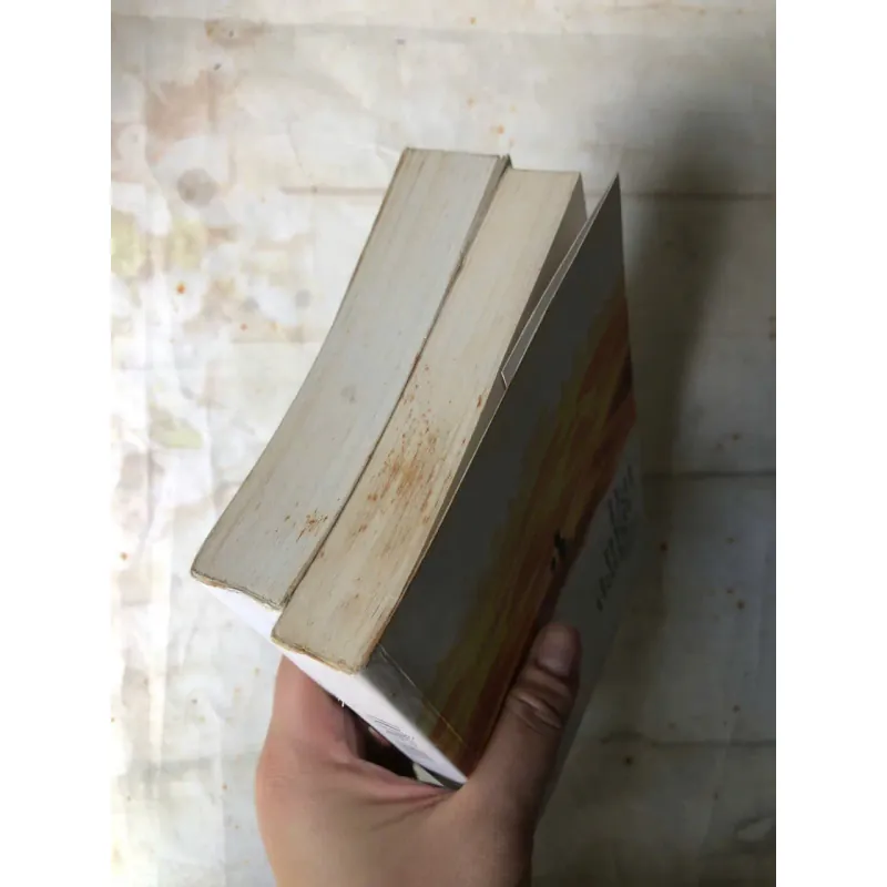 Đại Mạc Dao - Đồng Hoa 800719