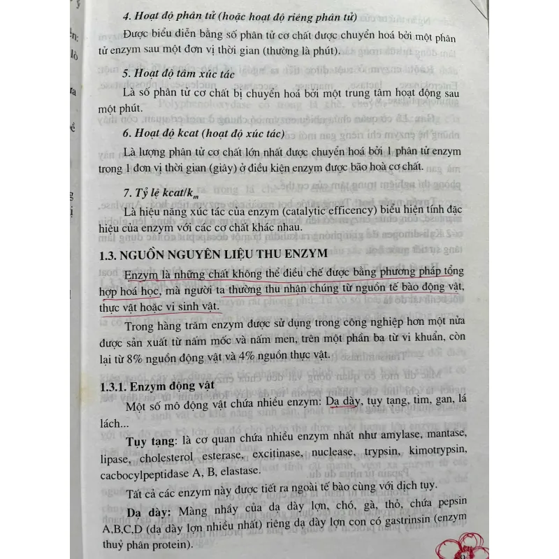 CÔNG NGHỆ ENZYM 702180