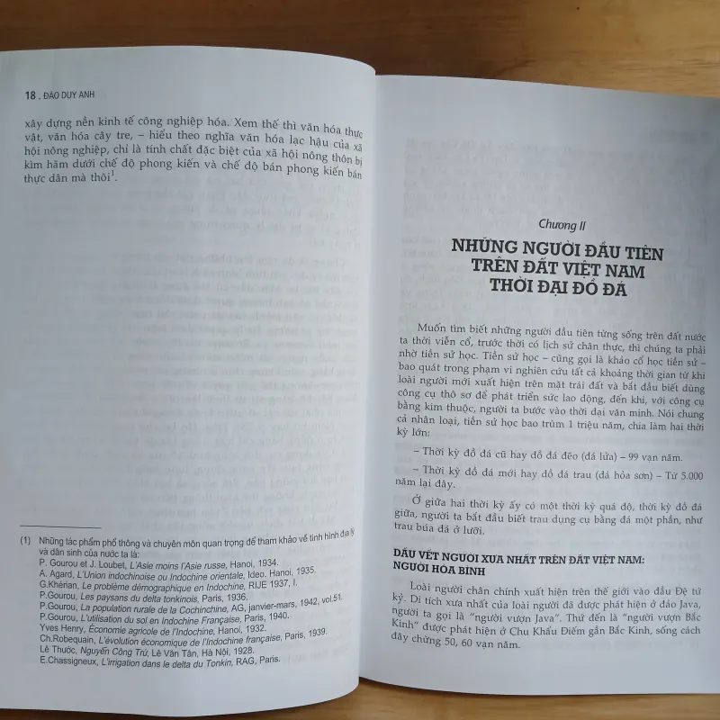 Lịch Sử Việt Nam (Từ Nguồn Gốc Đến Thế Kỷ XIX) - Đào Duy Anh 1030476