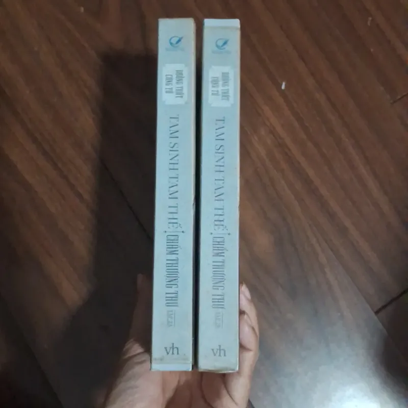 Tam sinh tam thế chẩm thượng thư 706597