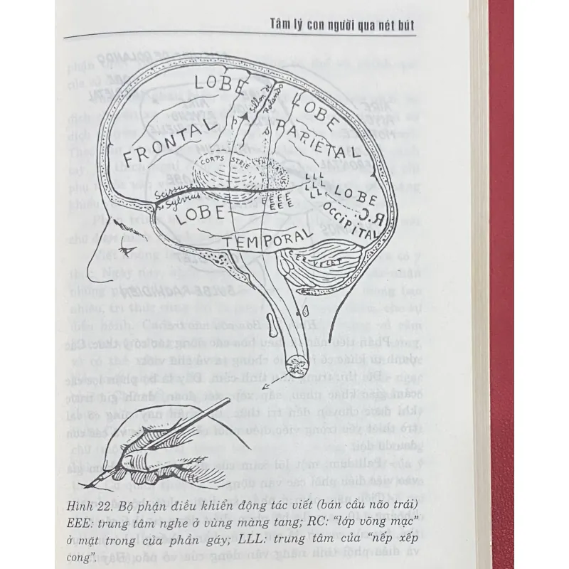 Tâm lý con người qua nét bút 1003087