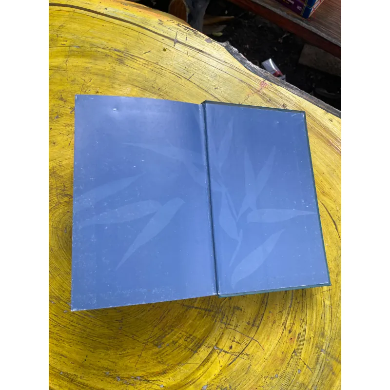 TỪ ĐIỂN ANH - VIỆT ENGLISH- VIETNAMESE DICTIONARY- VIỆN NGÔN NGỮ HỌC- NEW EDITION 731006