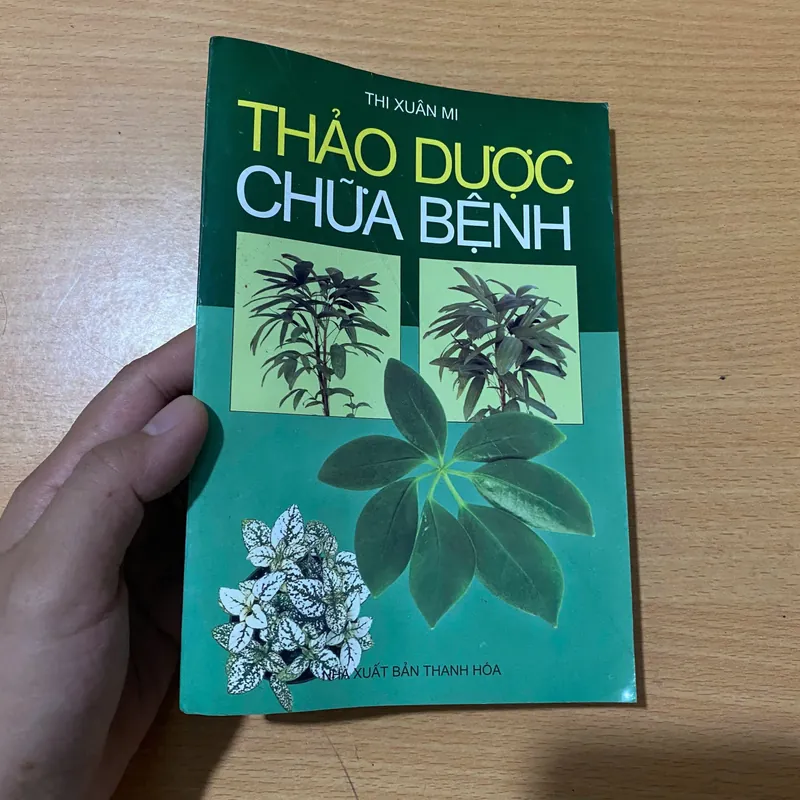 Thảo Dược Chữa Bệnh - Thi Xuân Mi#HATRA 589784