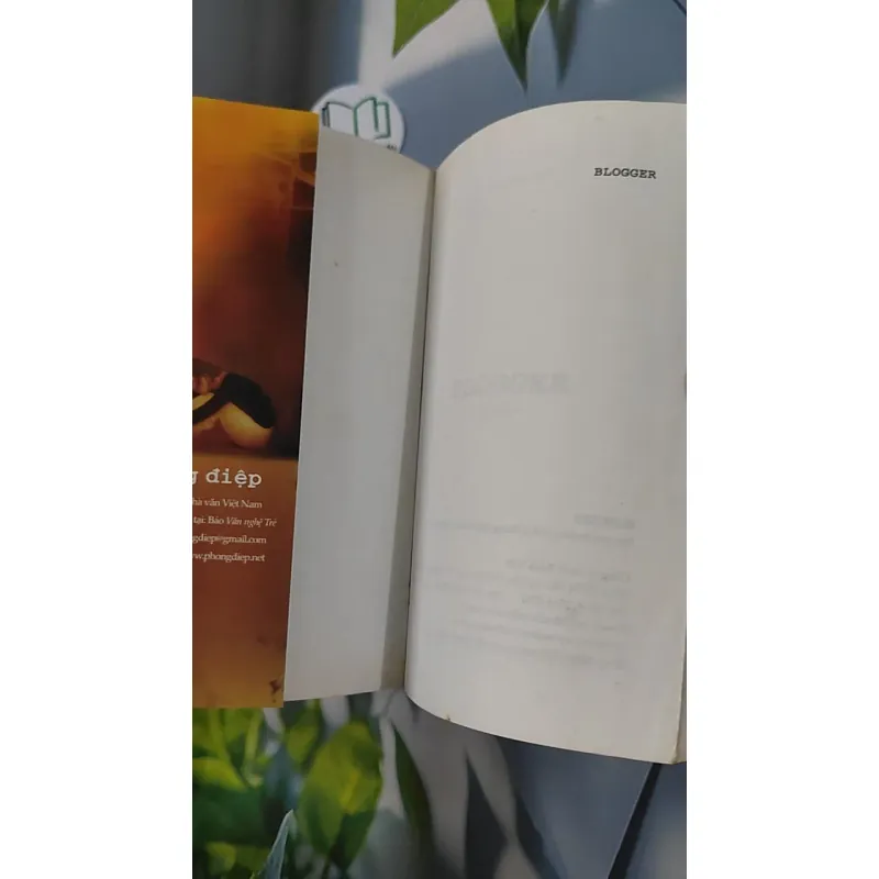 Blogger - Phong Điệp 798352