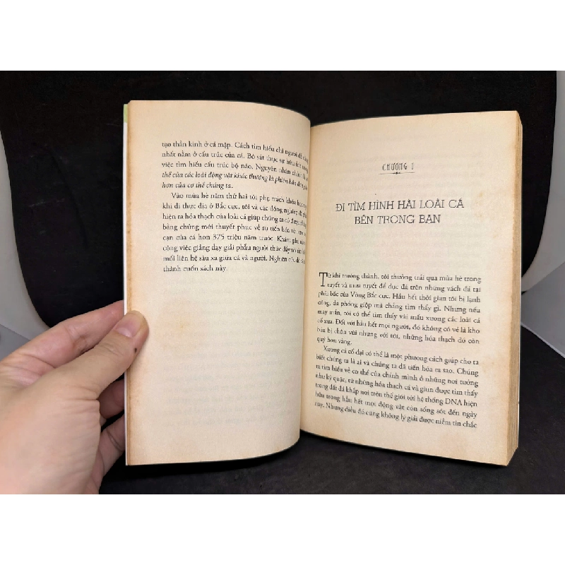 [Phiên Chợ Sách Cũ] Tất Cả Chúng Ta Đều Là Cá, Mới 80% (ố vàng), 2014 - Neil Shubin H1604-SBM-1 1019500