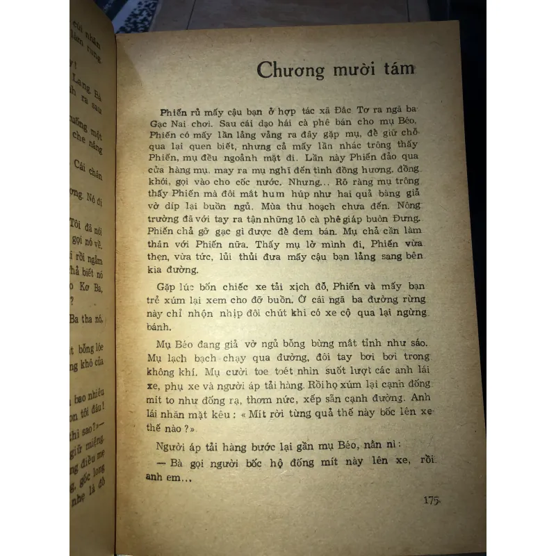 Cao nguyên mưa nắng - Bút Ngữ 797846