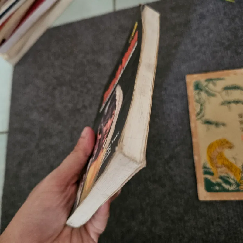 Trần lệ xuân giấc mộng chính trường 746012