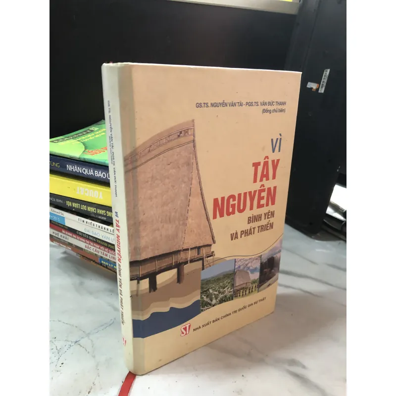 Vì Tây Nguyên bình yên và phát triển  723284