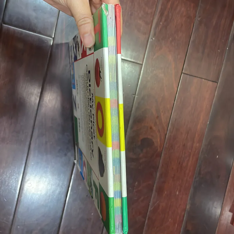 DK : My first Dictionary Cuốn từ điển đầu đời của tôi với 1000 từ - đinh tị 1027129