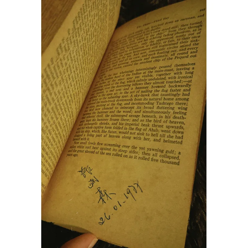 Moby Dick (English) 698197