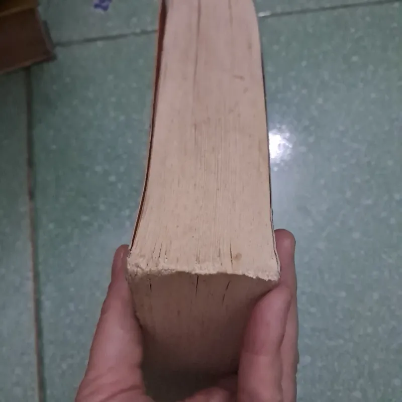 Hary Potter  1021883