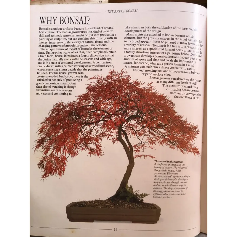 The complete book of Bonsai - Harry Tomlinson 1002398