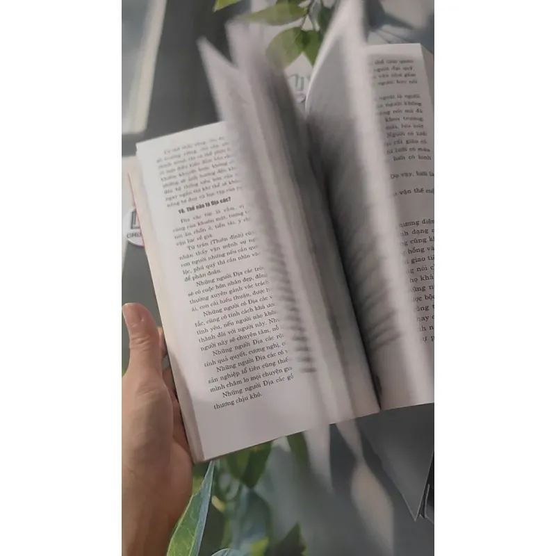 Khám Phá Bí Mật Khuôn Mặt Và Bàn Tay - Từ Liêm 928504