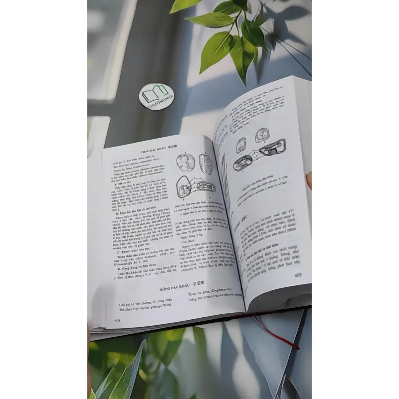 [MIỄN PHÍ BỌC SÁCH] Những Cây Thuốc Và Vị Thuốc Việt Nam - GS. TS Đỗ Tất Lợi 990368