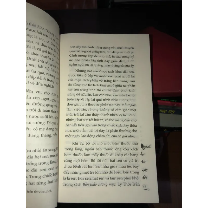 Ngoảnh lại đã một đời - Bạch Lạc Mai 993679