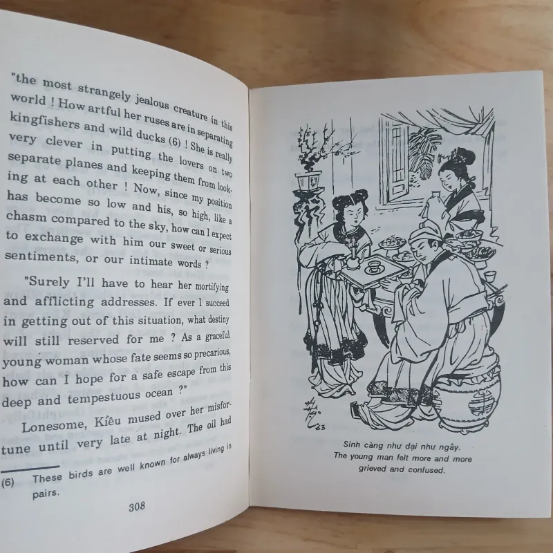 Nguyễn Du - Kim Vân Kiều (Lê Xuân Thủy dịch Tiếng Anh) 1001359