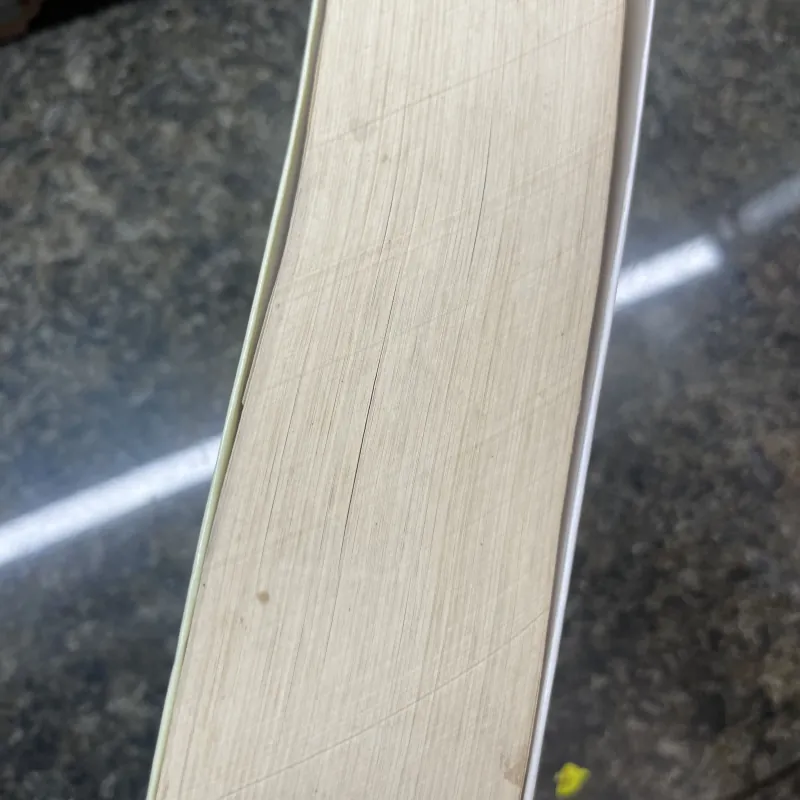 Những vấn đề văn học và ngôn ngữ học 934026