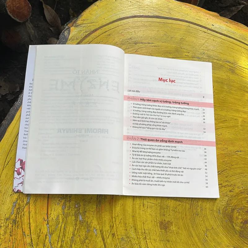 NHÂN TỐ ENZYM Minh hoạ 588989